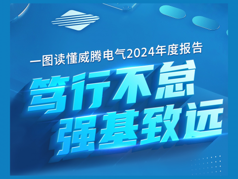 一图读懂尊龙凯时电气2024年度报告